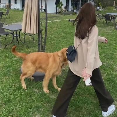 带剑的小孩